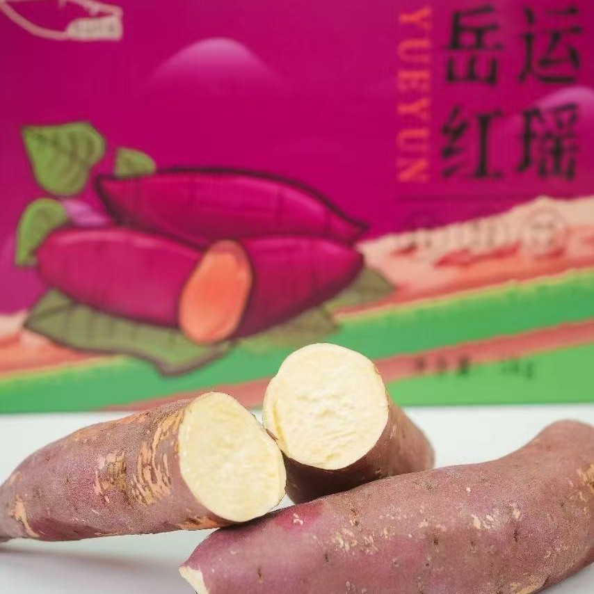 （五斤顺丰包邮）天津岳龙源产地已糖化，带箱称重介意勿拍