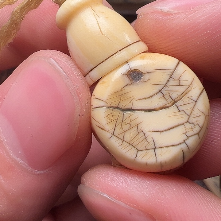 我们都是在这里看到的哈