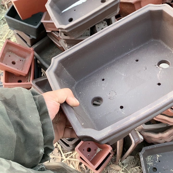 紫砂哈哈真的是太给力太火爆了