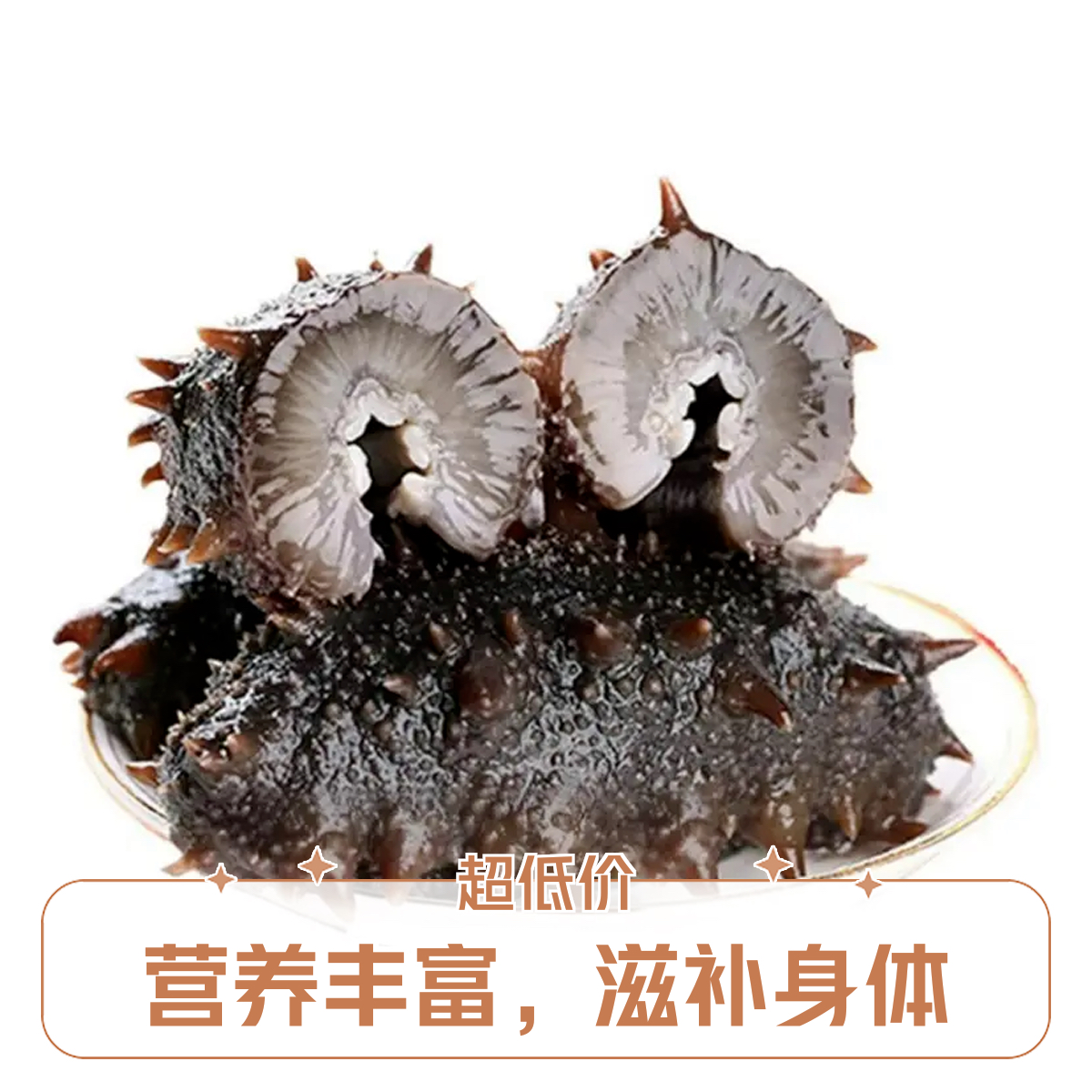 （熟）鲜食海参化冻即食海参约15克/1只/单只袋装/散装/非真空包装