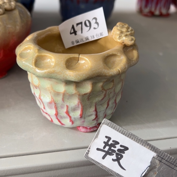 口5高6 未满30运费到付