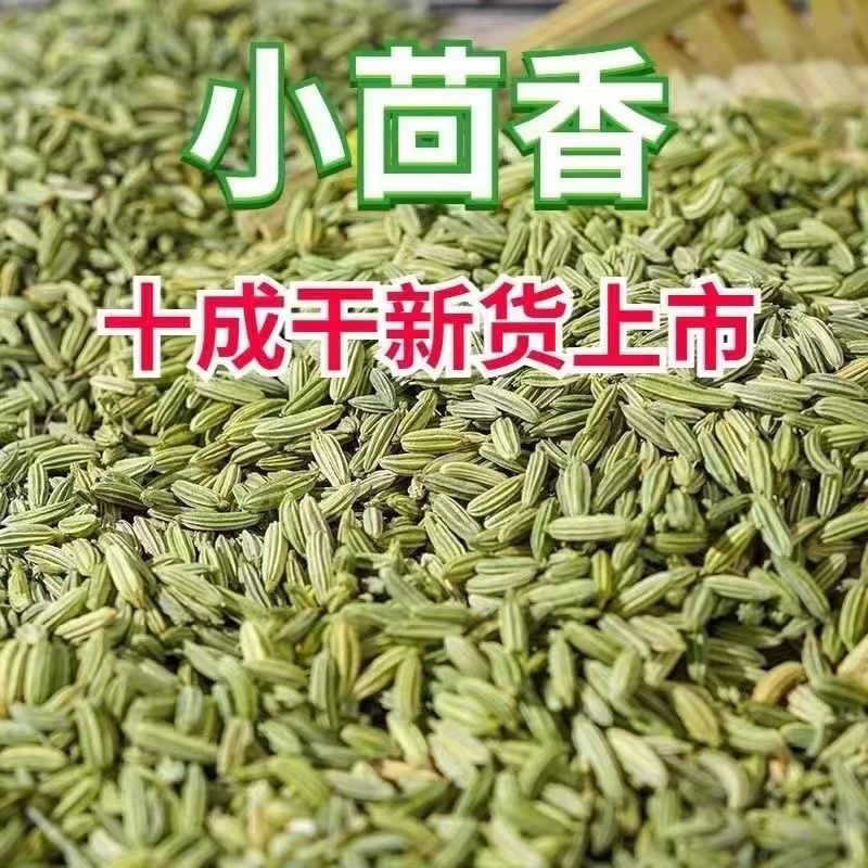 甘肃头茬晚熟小茴香特级新货可作食用香料调料炖羊肉