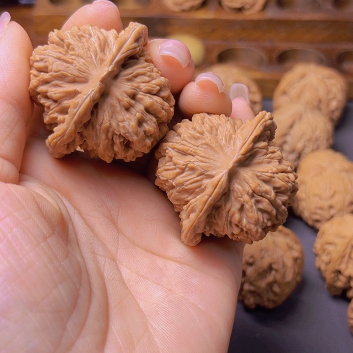 王*发核桃专用链接，四座楼42