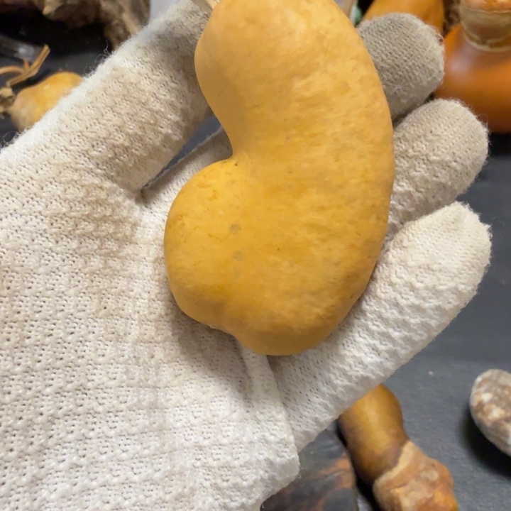 旋***姐76666777777888899999