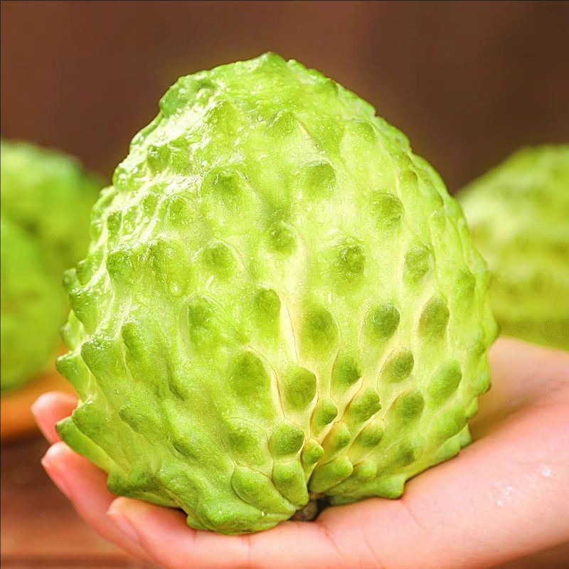 【冬果特惠】广西特产新鲜发牛奶凤梨释迦果佛头果鲜果现摘热带水果