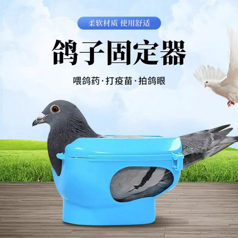 多功能鸽子固定器赛鸽适用防跑喂药打针看鸽眼辅助工具鸽具