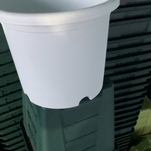 树脂2加奶白无托5个