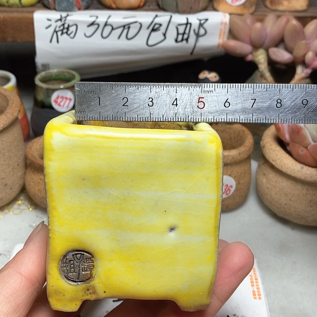 红陶拍5送一个小