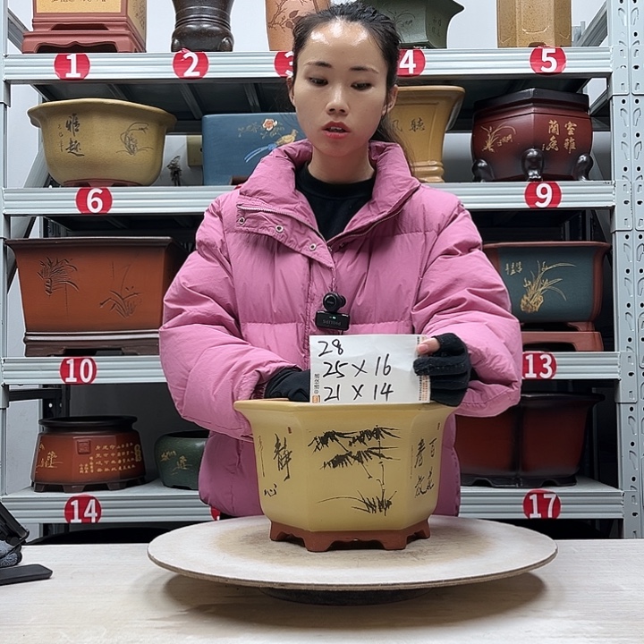 紫砂花盆紫砂花盆