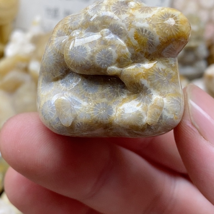 颈饰未镶嵌硅化珊瑚（珊瑚玉）有瑕