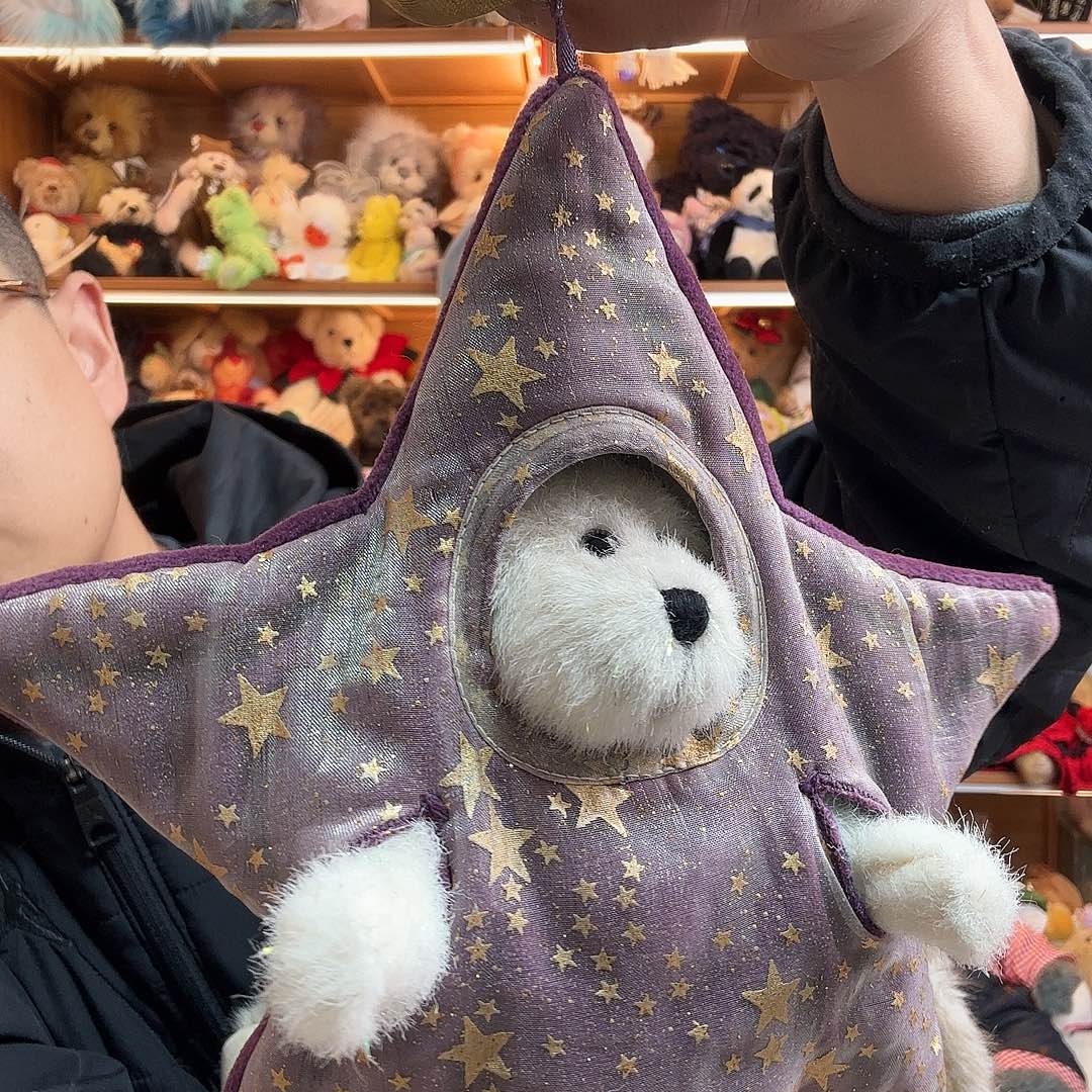 *****毛绒boyds小星星紫色