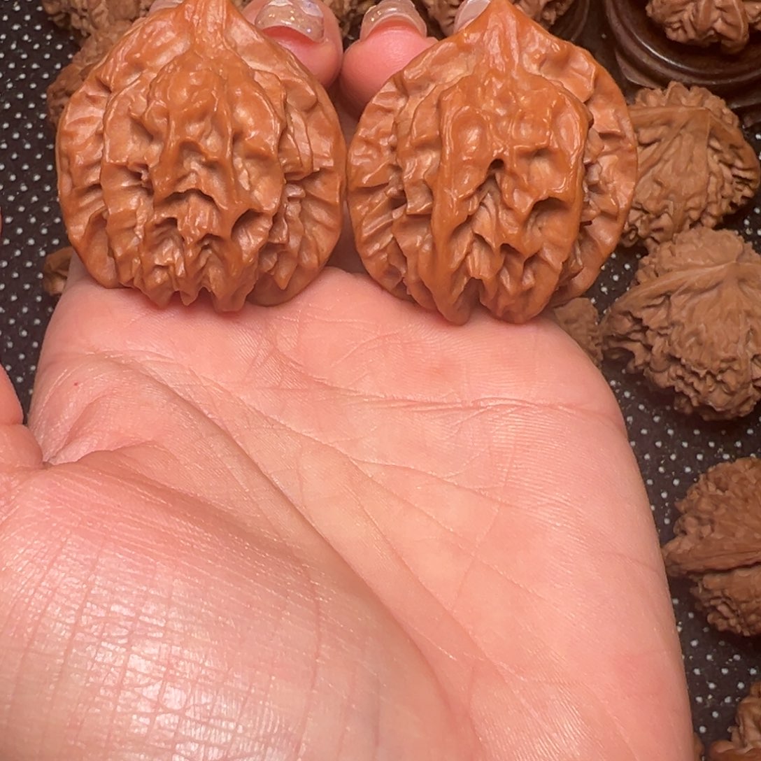 可***可曹大龙，边38，肚37，高41