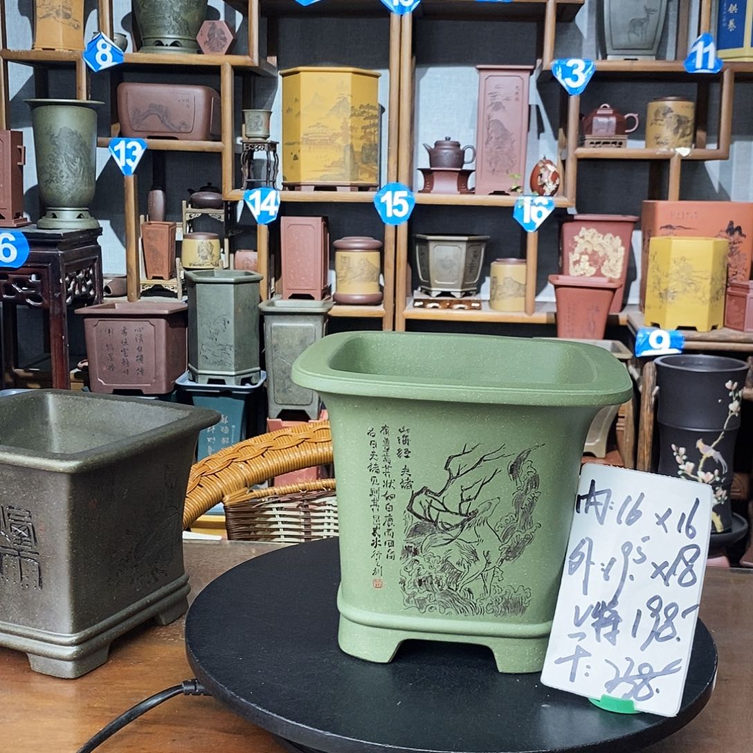 花盆紫砂果绿泥爆款特价