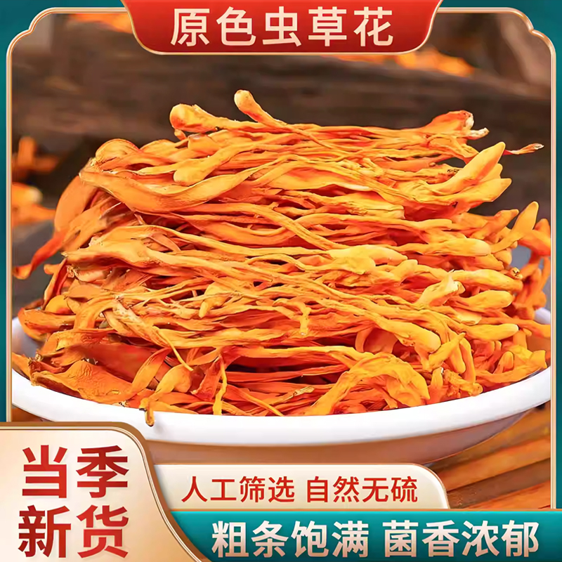 精选新鲜深山虫草花北虫草金虫草煲汤炖汤炒菜营养食材