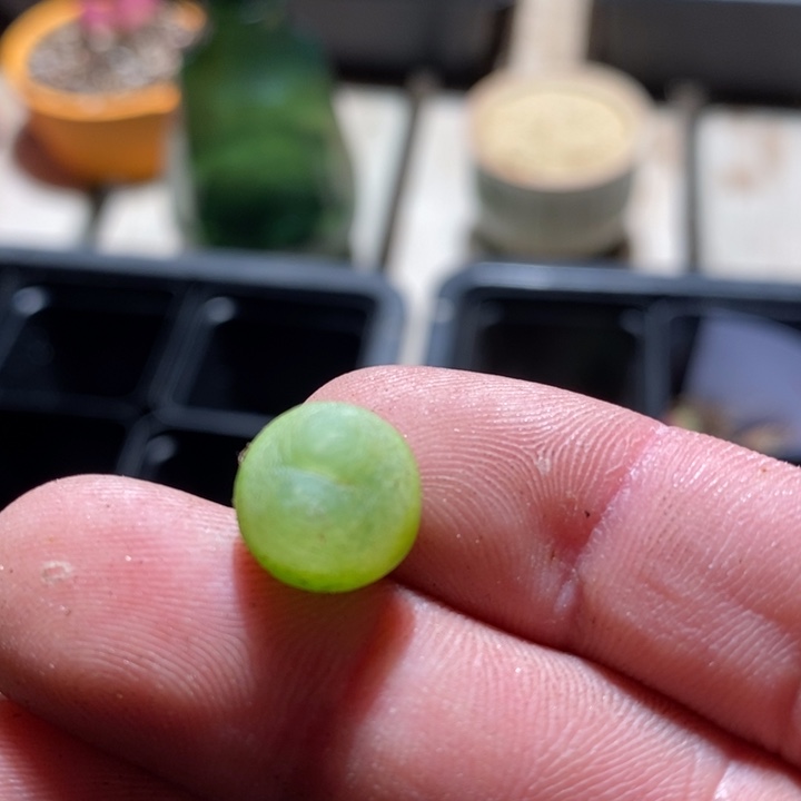 15218一个一个一个