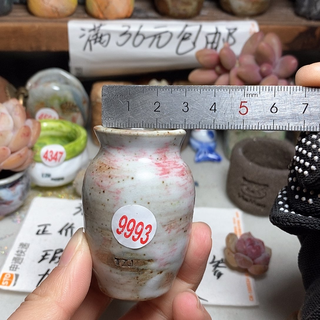 红陶拍5送一个小