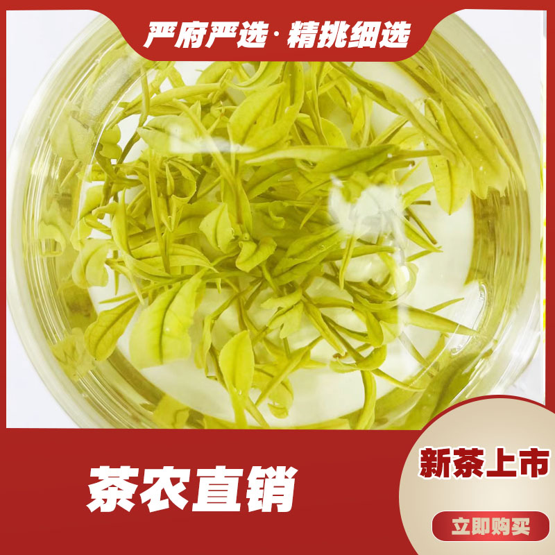 A298《2025年》新茶中期扁型熊猫奶白直播好品质