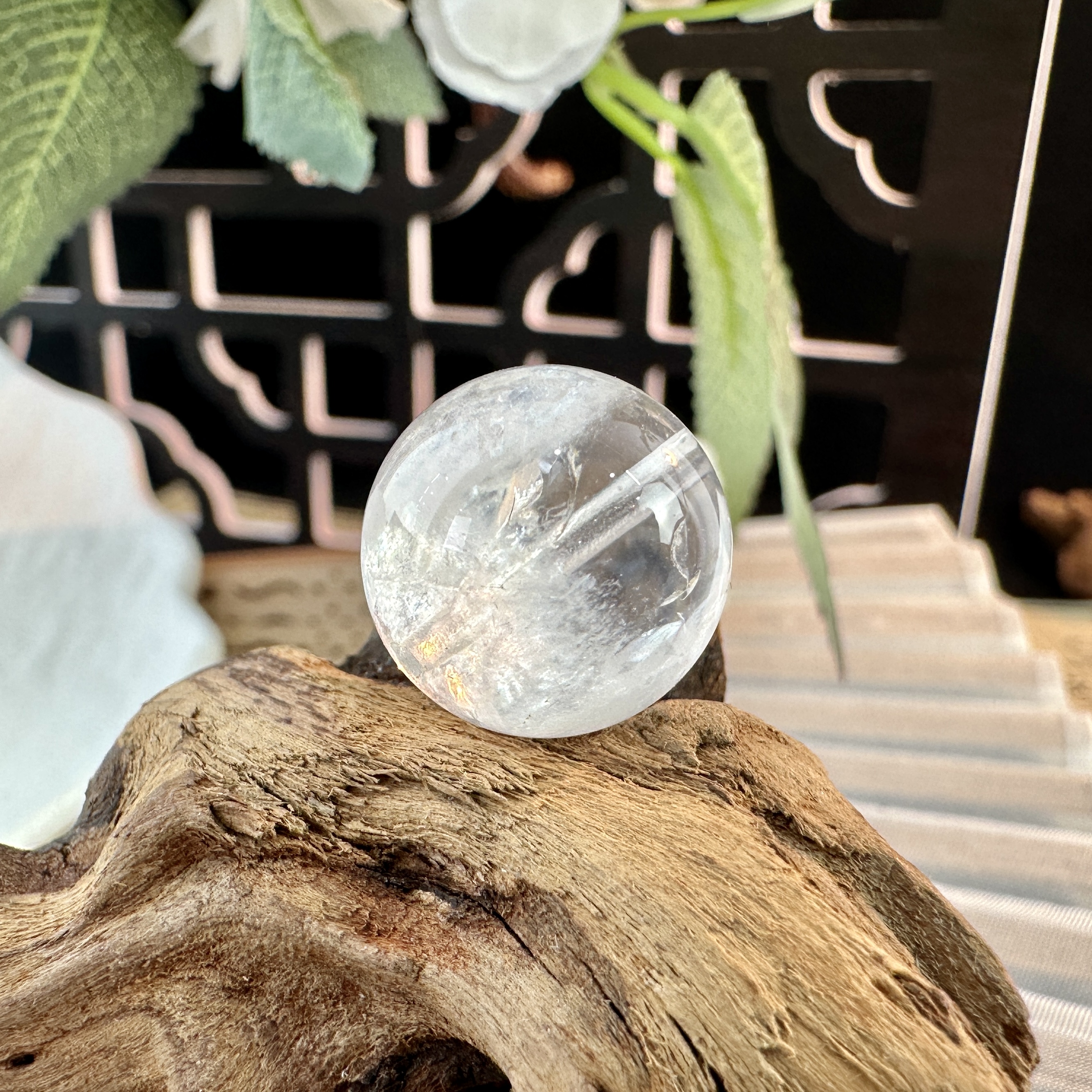 白幽灵聚宝盆单珠（天然珠宝多样性发其一）