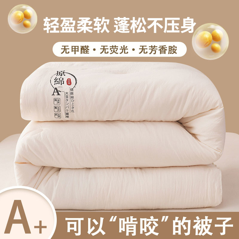 新款被子春秋冬被加厚四季学生棉被保暖被芯被褥6斤8斤10斤棉被子