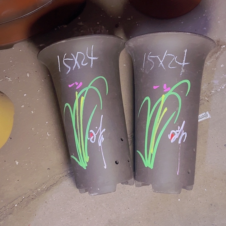 周深周深周深周深  