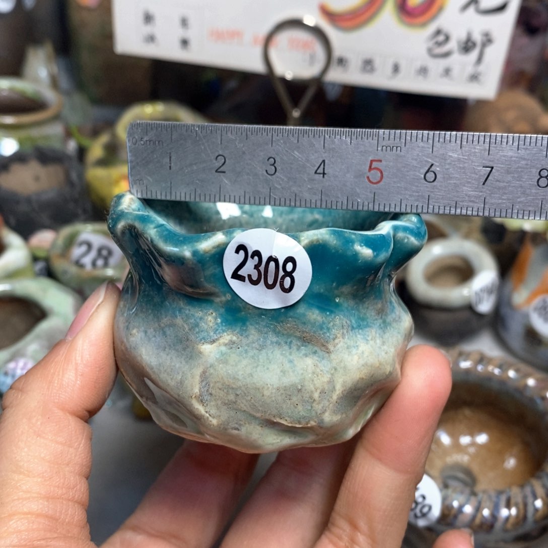 特价花盆拍5送一个小礼物