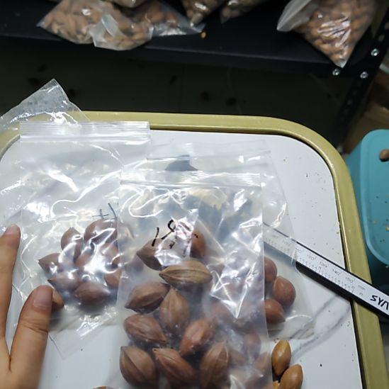 基***睿橄榄核吊坠散籽三包