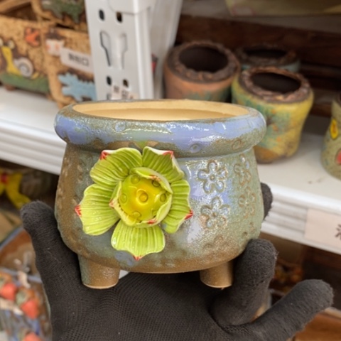 【闪购商品】红陶1