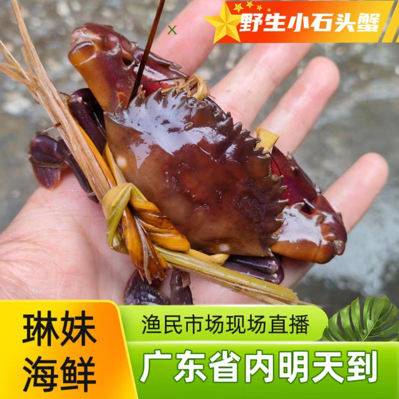天然野生石头蟹冰鲜锁鲜发货