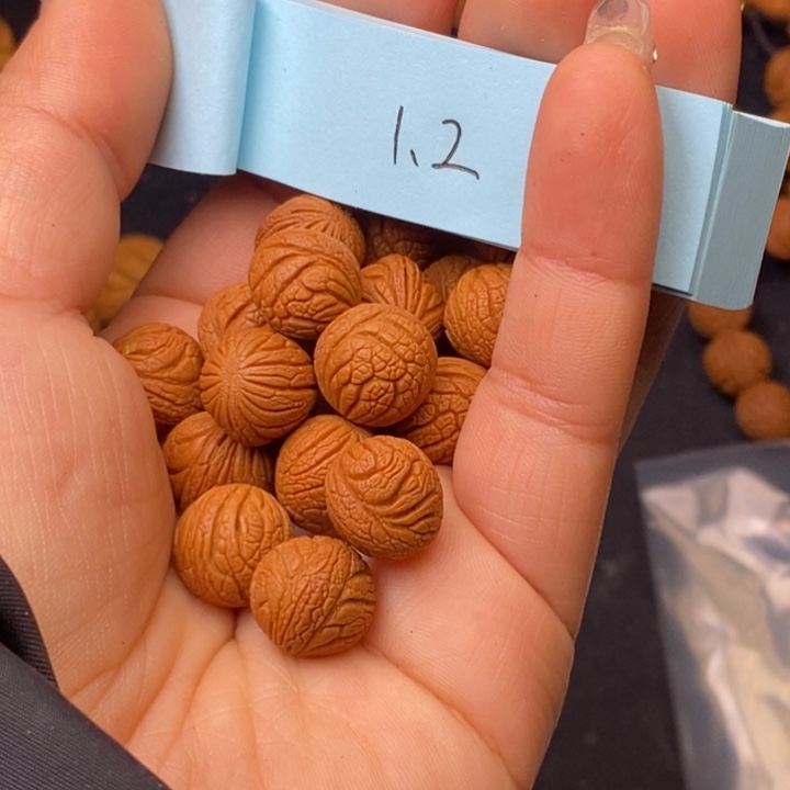 威***基秦岭龙纹桃核24颗