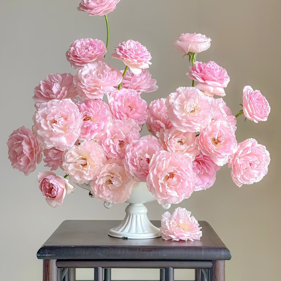 馨源樱奈10支！三件顺丰空运20%不售后