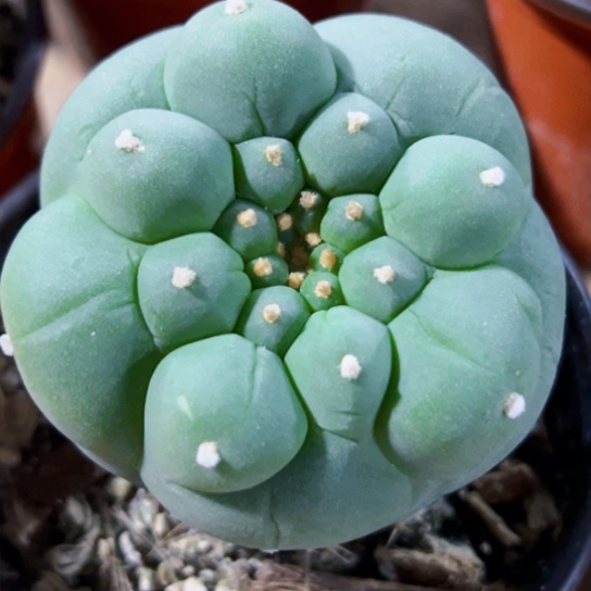 用****7福利苗接大优926