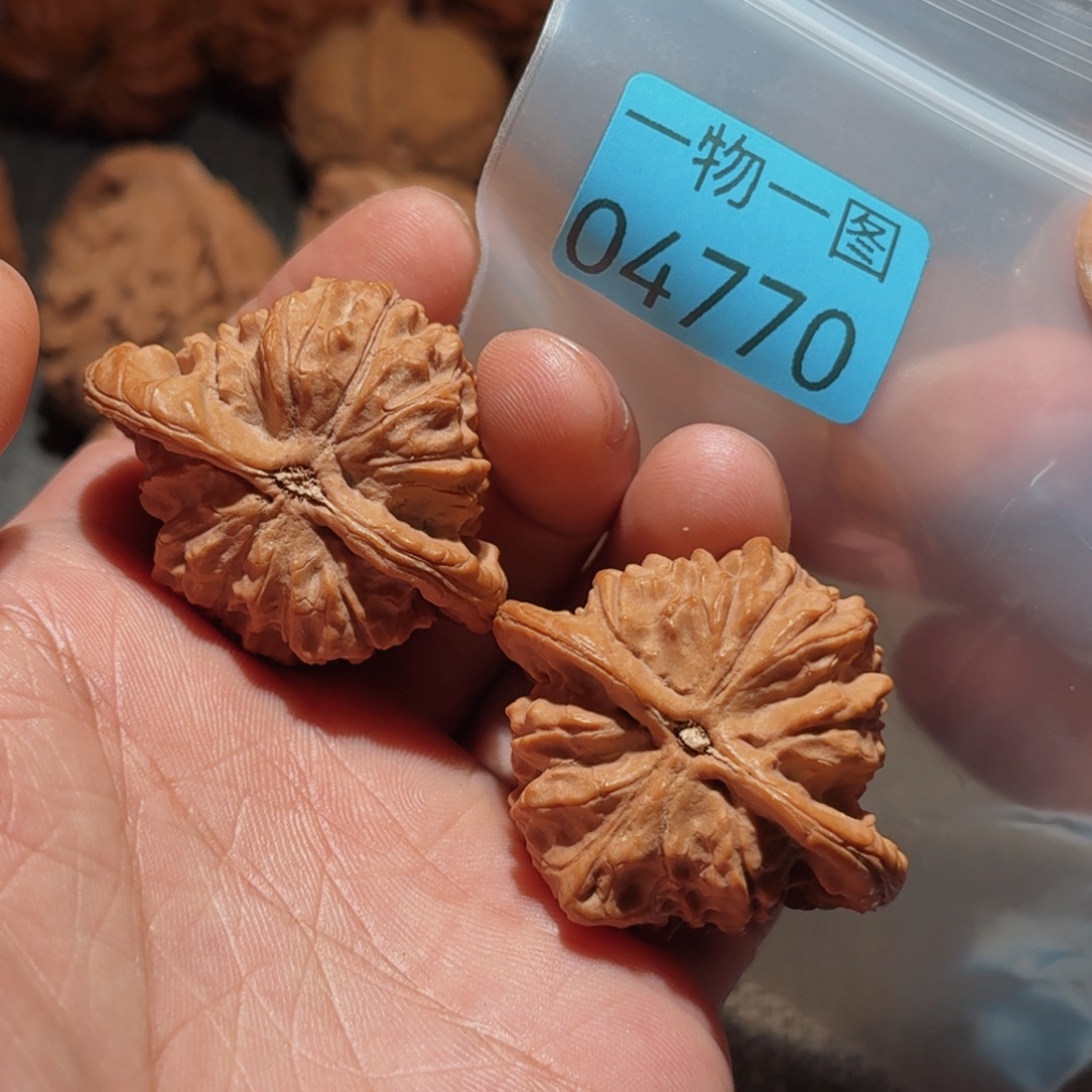 文玩核桃把件朱雀