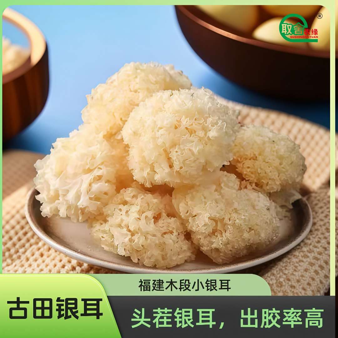 福建古田椴木小银耳无渣无根银耳干货可搭配莲子百合女神爱美煲汤