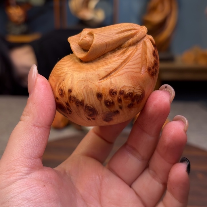 柏木（崖柏）关注一下