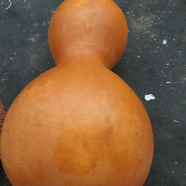 八宝八宝八宝八宝