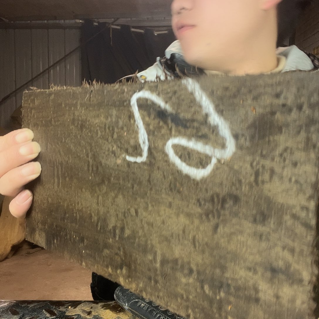 楠木金丝楠木金丝楠木