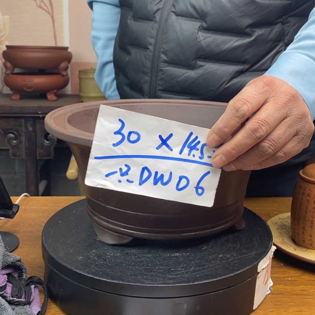 红陶货号一只DW06