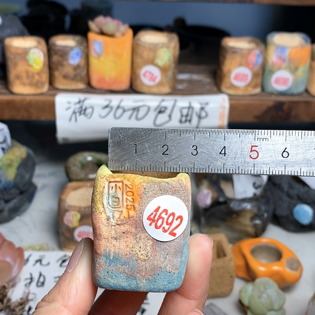 红陶拍5送一个小