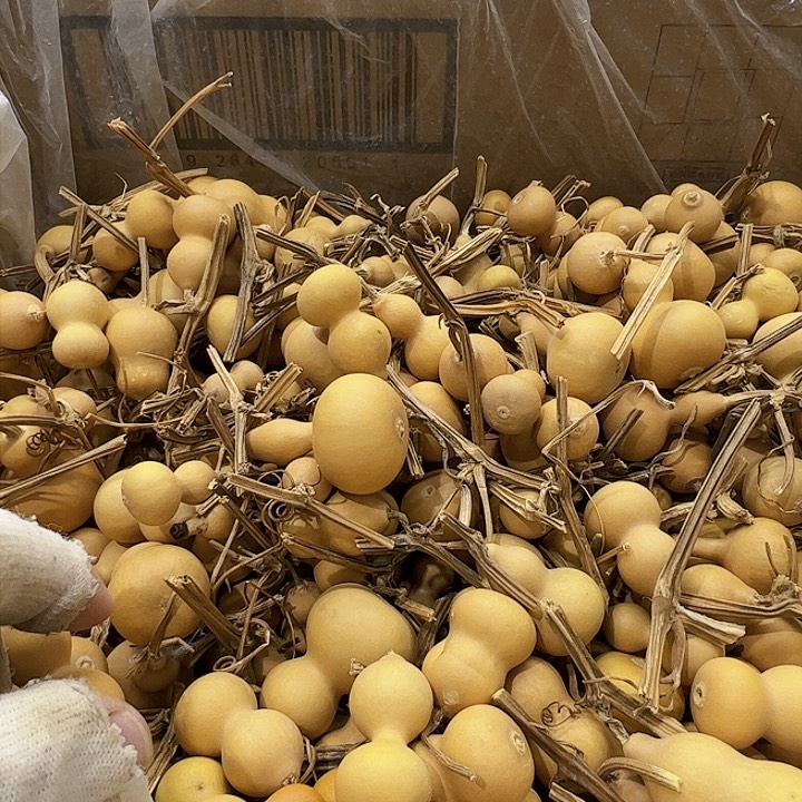 陕****材谢谢你的陪伴我的