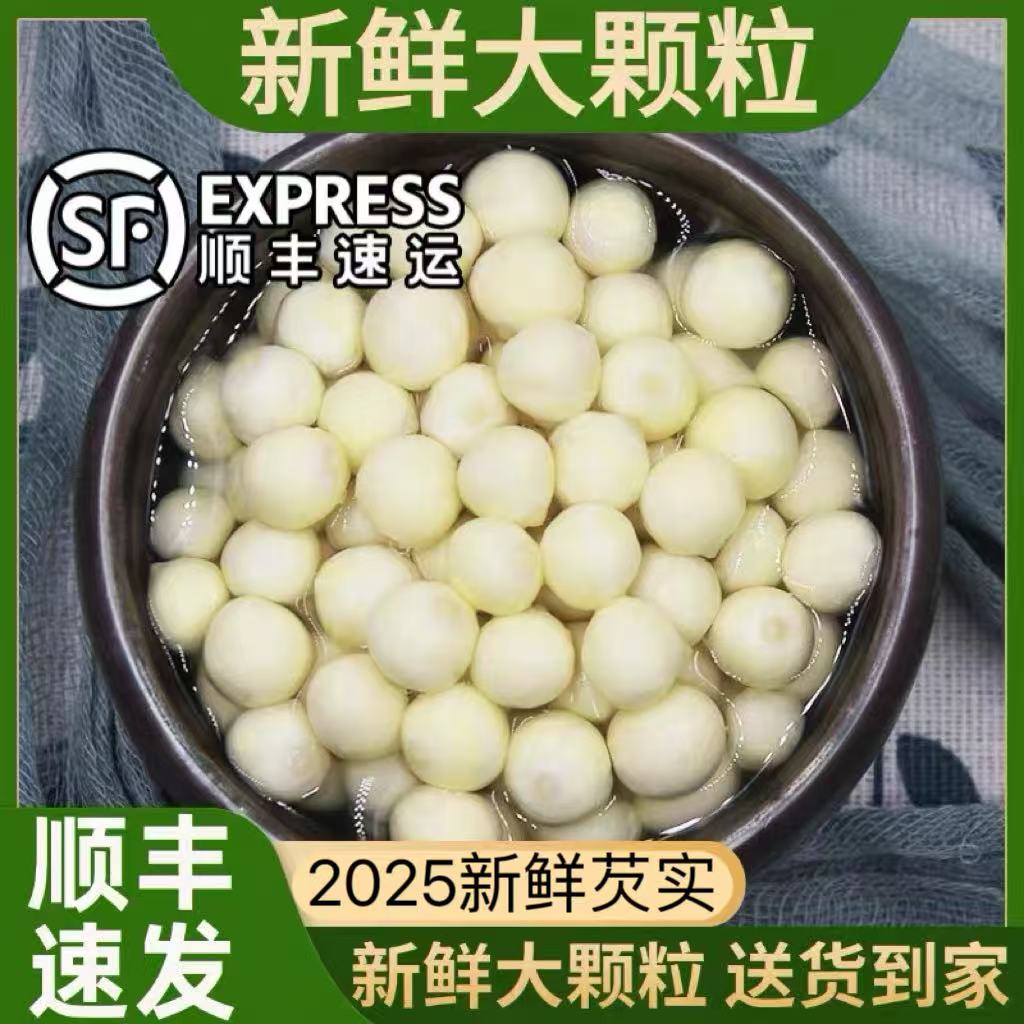 东芡一号 芡实2025新鲜芡实鸡头米顺丰包邮