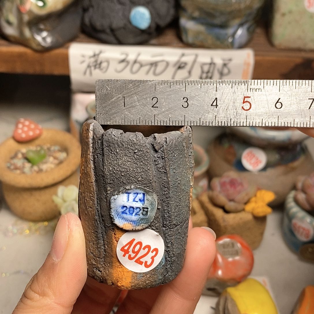 红陶拍5送一个小