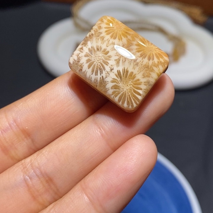 【闪购商品】未镶嵌珊瑚玉硅化玉