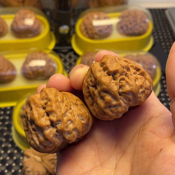 核桃手串/手链红皮山地蛙