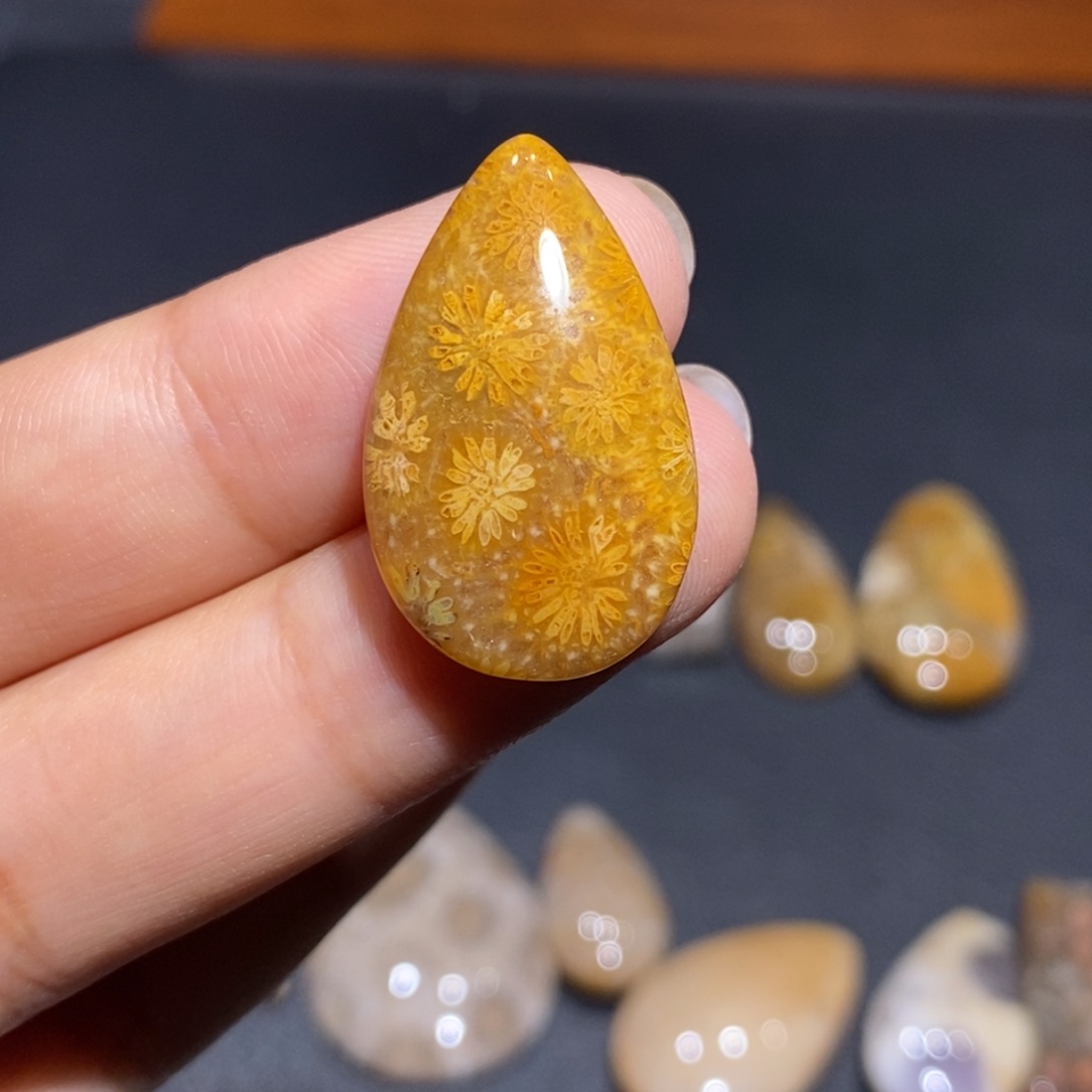 【闪购商品】未镶嵌珊瑚玉硅化玉