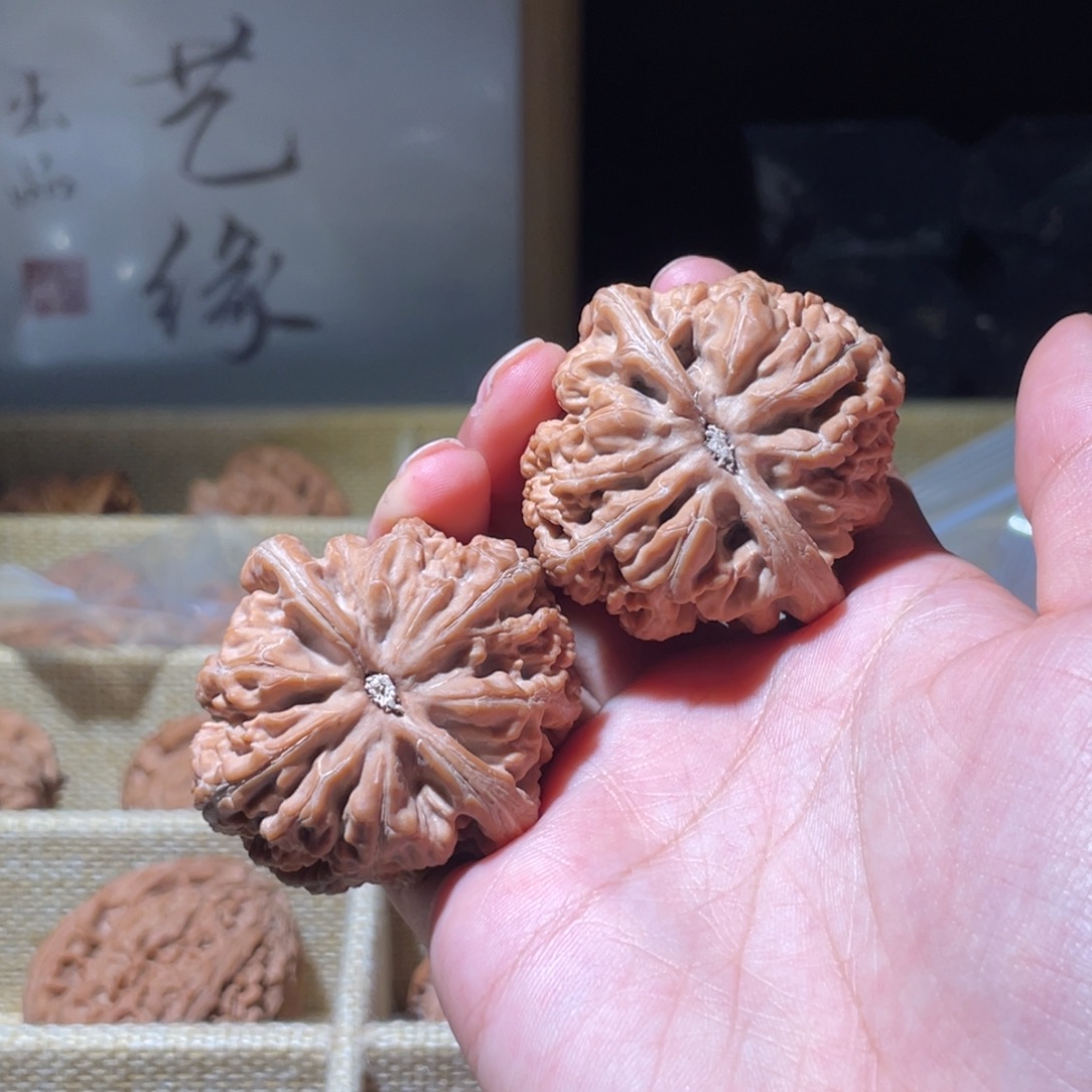 熊***哥核桃手串/手链43全品粗筋