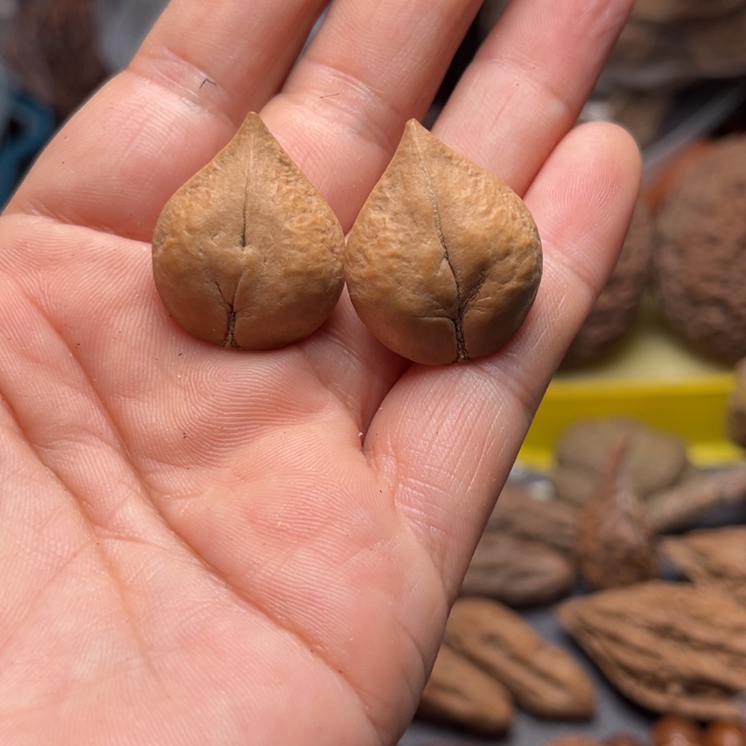 手串文玩核桃核桃10