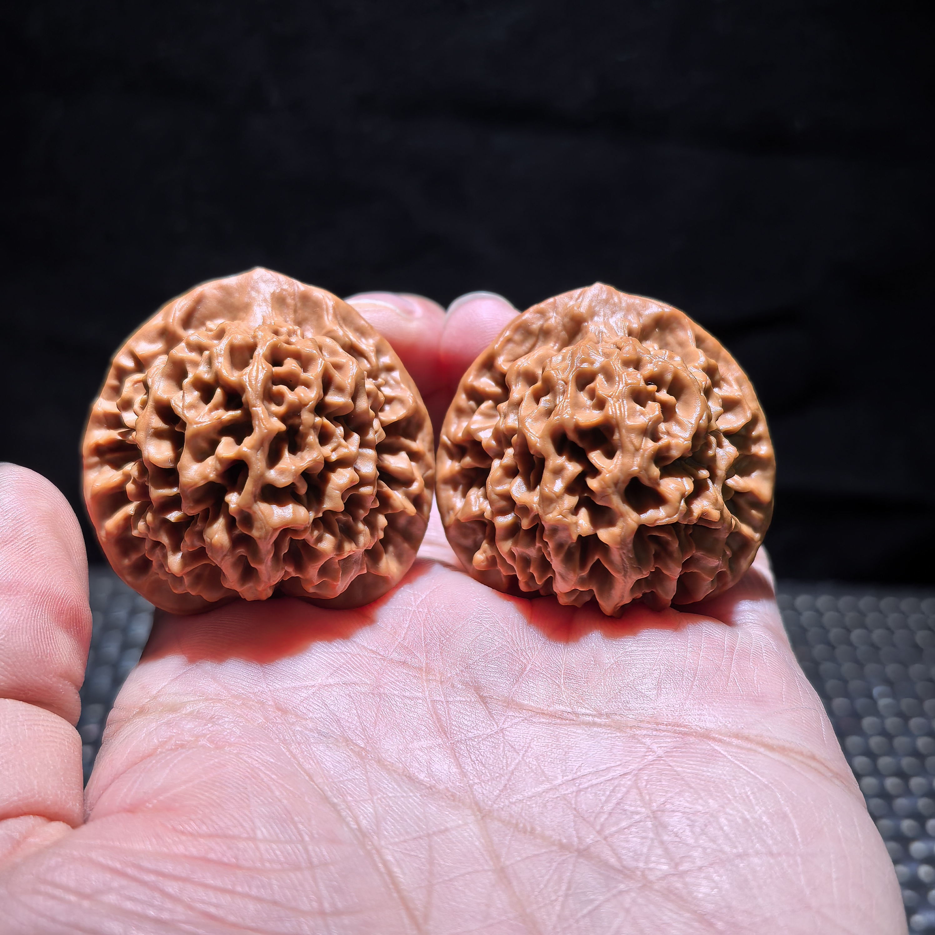 陕西秦闷，自然桩型，边肚高40/38/39走色牛津红