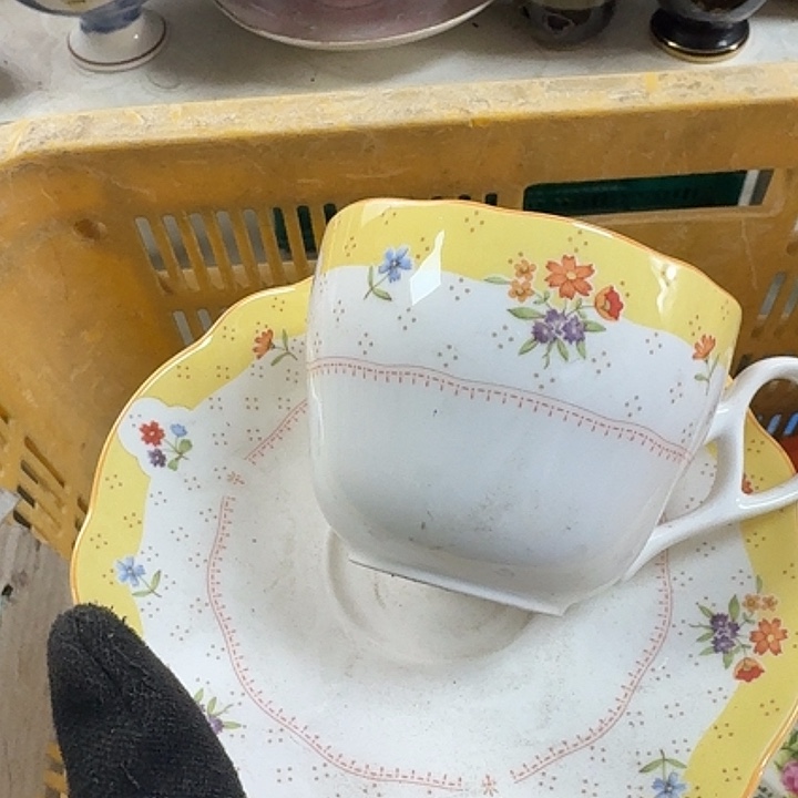 碗开播啦…开播啦