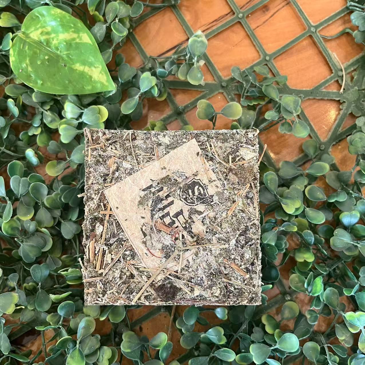 雨腾妹夫  ”鸿J显H鸿M清L”菩提本源 本J"200g/砖（6月18）