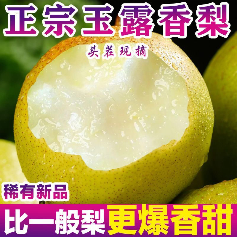 【正宗】山西玉露香梨玉露梨脆甜多汁细腻化渣产地直发整箱包邮